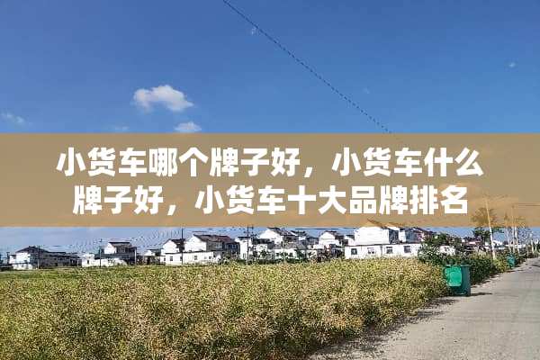 小货车哪个牌子好，小货车什么牌子好，小货车十大品牌排名