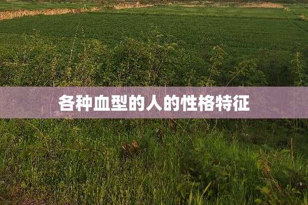 各种血型的人的性格特征