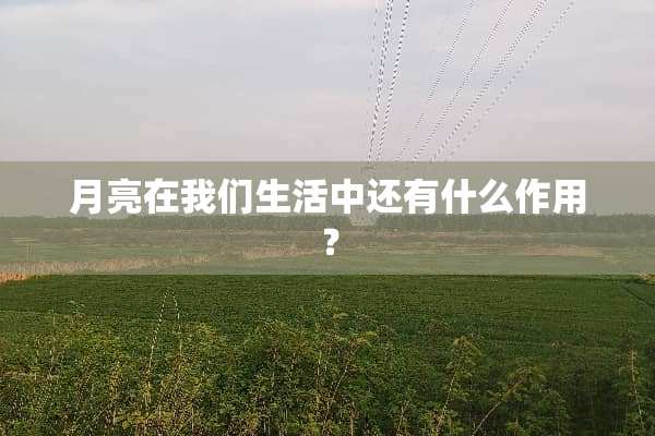 月亮在我们生活中还有什么作用？