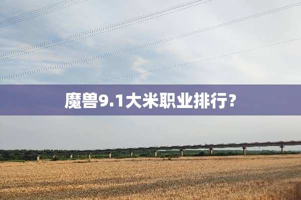 魔兽9.1大米职业排行？