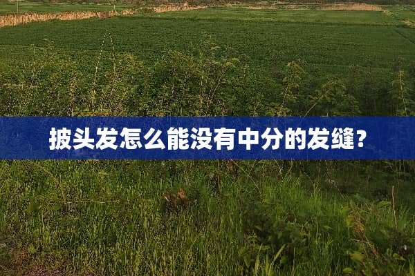 披头发怎么能没有中分的发缝？