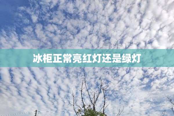 冰柜正常亮红灯还是绿灯