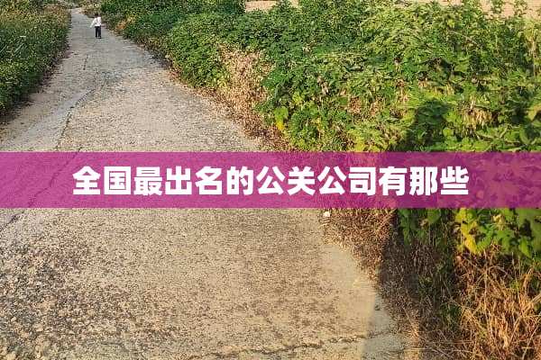 全国最出名的公关公司有那些