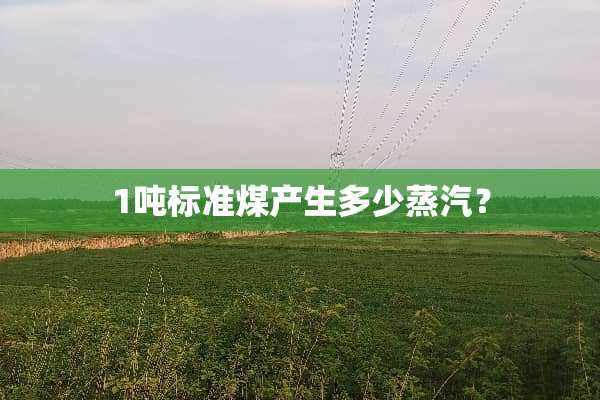 1吨标准煤产生多少蒸汽？