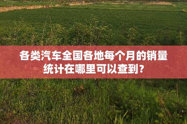 各类汽车全国各地每个月的销量统计在哪里可以查到？
