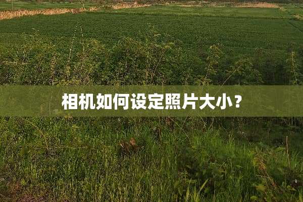 相机如何设定照片大小？