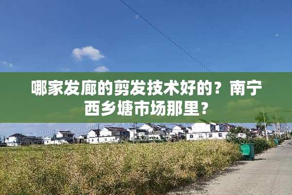 哪家发廊的剪发技术好的？南宁西乡塘市场那里？