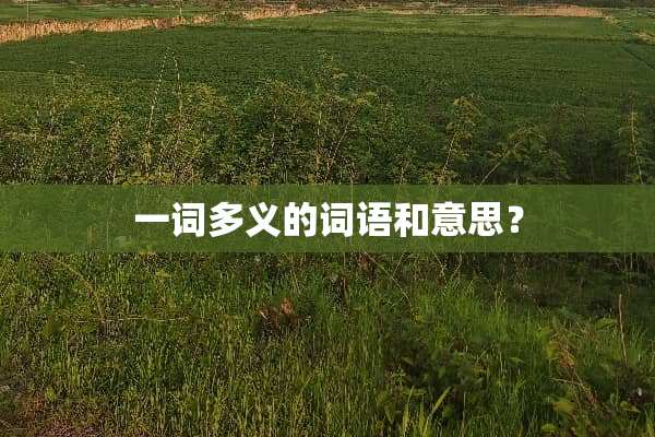 一词多义的词语和意思？