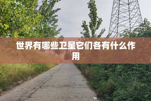 世界有哪些卫星它们各有什么作用