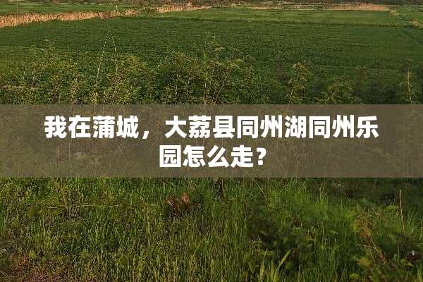 我在蒲城，大荔县同州湖同州乐园怎么走？