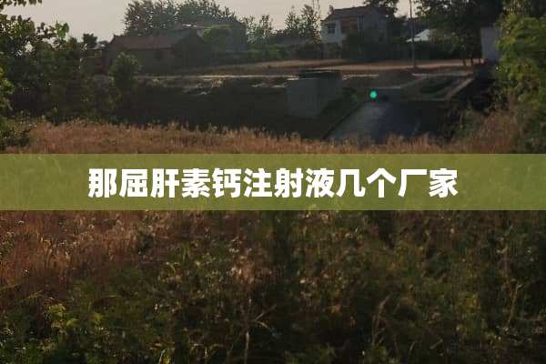 那屈肝素钙注射液几个厂家