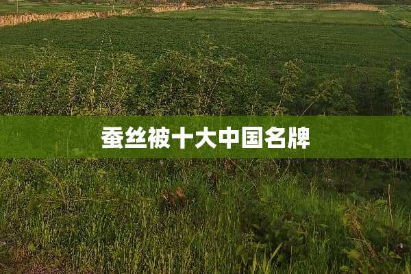 蚕丝被十大中国名牌
