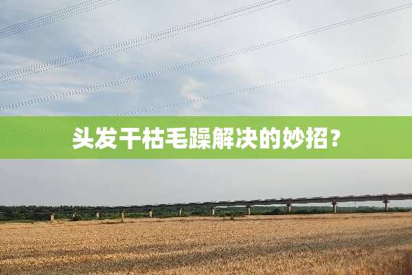 头发干枯毛躁解决的妙招？