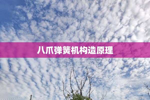 八爪弹簧机构造原理