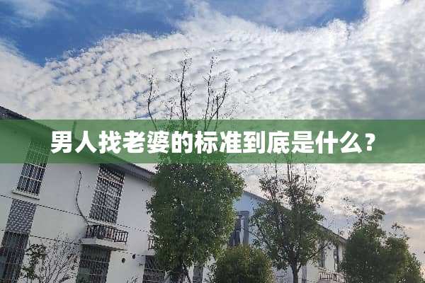 男人找老婆的标准到底是什么？