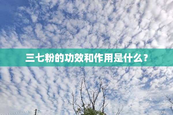 三七粉的功效和作用是什么？