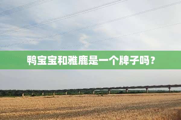 鸭宝宝和雅鹿是一个牌子吗？