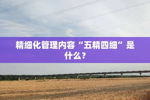 精细化管理内容“五精四细”是什么？