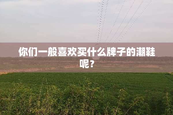 你们一般喜欢买什么牌子的潮鞋呢？