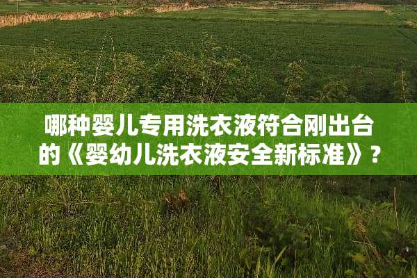 哪种婴儿专用洗衣液符合刚**的《婴幼儿洗衣液安全新标准》？