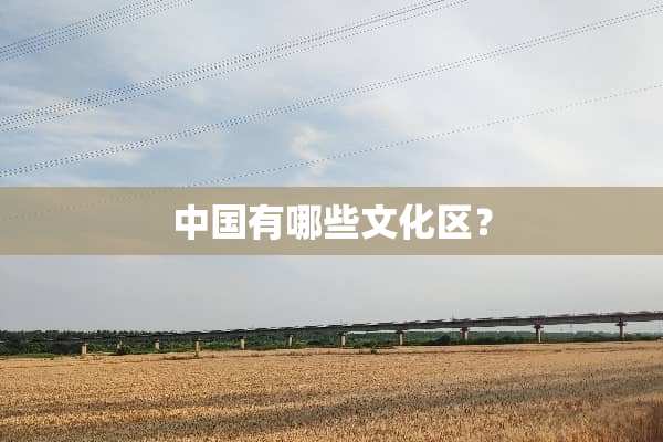 中国有哪些文化区？