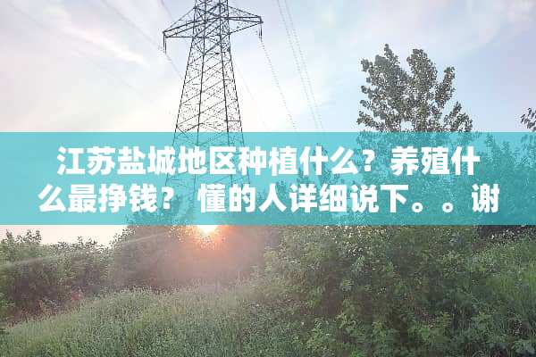 江苏盐城地区种植什么？养殖什么最挣钱？ 懂的人详细说下。。谢谢。。。。。。。。。