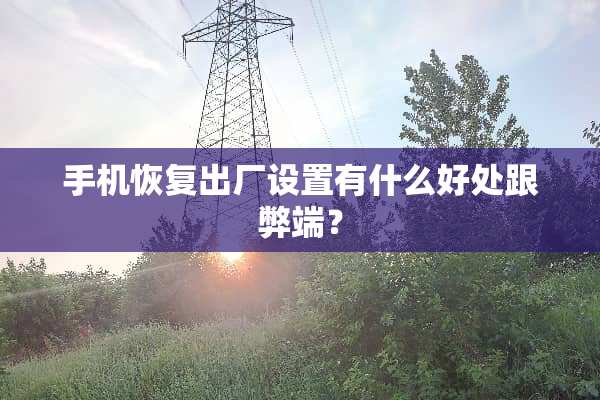手机恢复出厂设置有什么好处跟弊端？