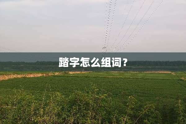 踏字怎么组词？