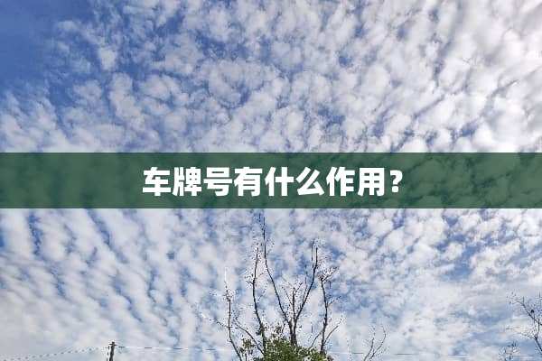 ***有什么作用？
