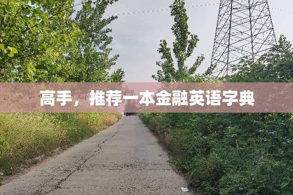 高手，推荐一本金融英语字典