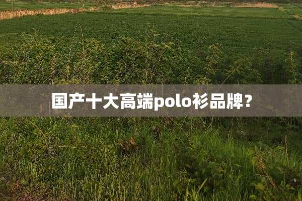 国产十大高端polo衫品牌？