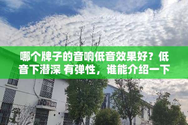 哪个牌子的音响低音效果好？低音下潜深 有弹性，谁能介绍一下啊？谢谢！