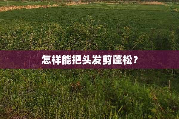 怎样能把头发剪蓬松？