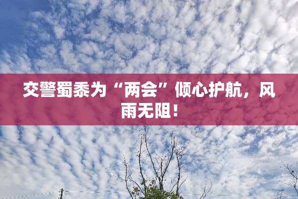 交警蜀黍为“**”倾心护航，风雨无阻！