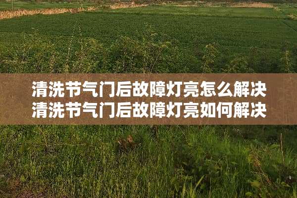 清洗节气门后故障灯亮怎么解决清洗节气门后故障灯亮如何解决