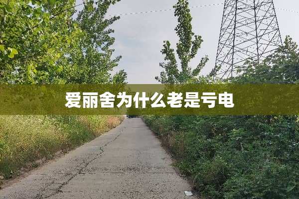 爱丽舍为什么老是亏电