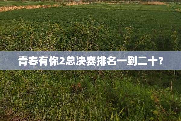 青春有你2总决赛排名一到二十？