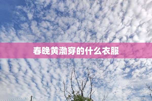 春晚黄渤穿的什么衣服