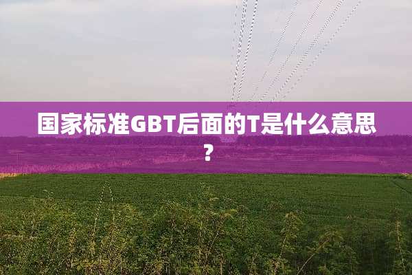 国家标准GBT后面的T是什么意思？