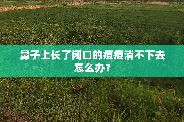 鼻子上长了闭口的痘痘消不下去怎么办？
