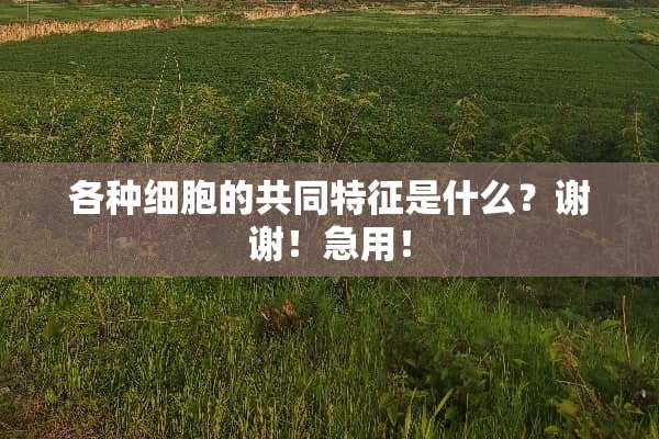 各种细胞的共同特征是什么？谢谢！急用！
