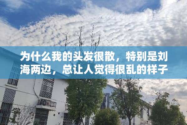 为什么我的头发很散，特别是刘海两边，总让人觉得很乱的样子？