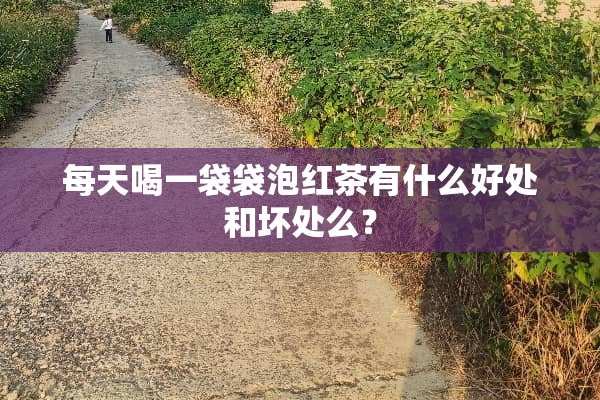 每天喝一袋袋泡红茶有什么好处和坏处么？