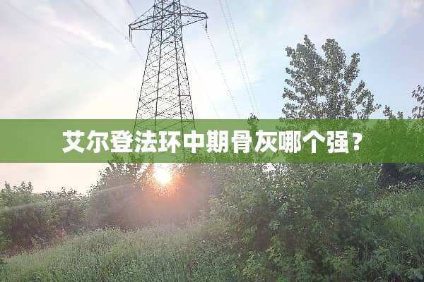 艾尔登法环中期骨灰哪个强？