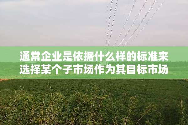 通常企业是依据什么样的标准来选择某个子市场作为其目标市场的？