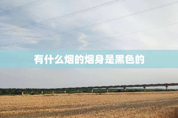 有什么烟的烟身是黑色的