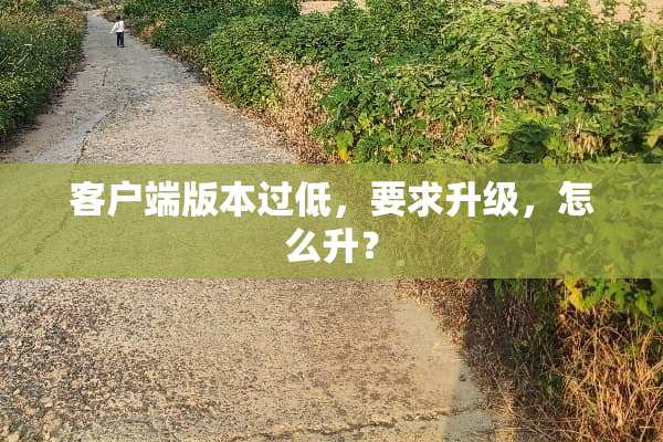 客户端版本过低，要求升级，怎么升？