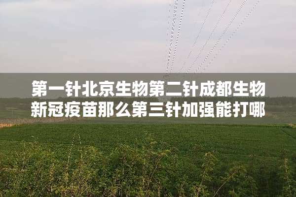第一针北京生物第二针成都生物新冠**那么第三针加强能打哪些呢？