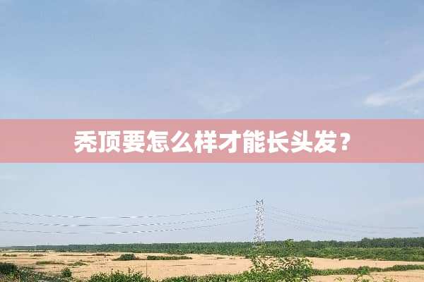 秃顶要怎么样才能长头发？