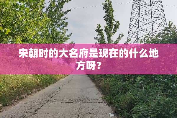 宋朝时的大名府是现在的什么地方呀？